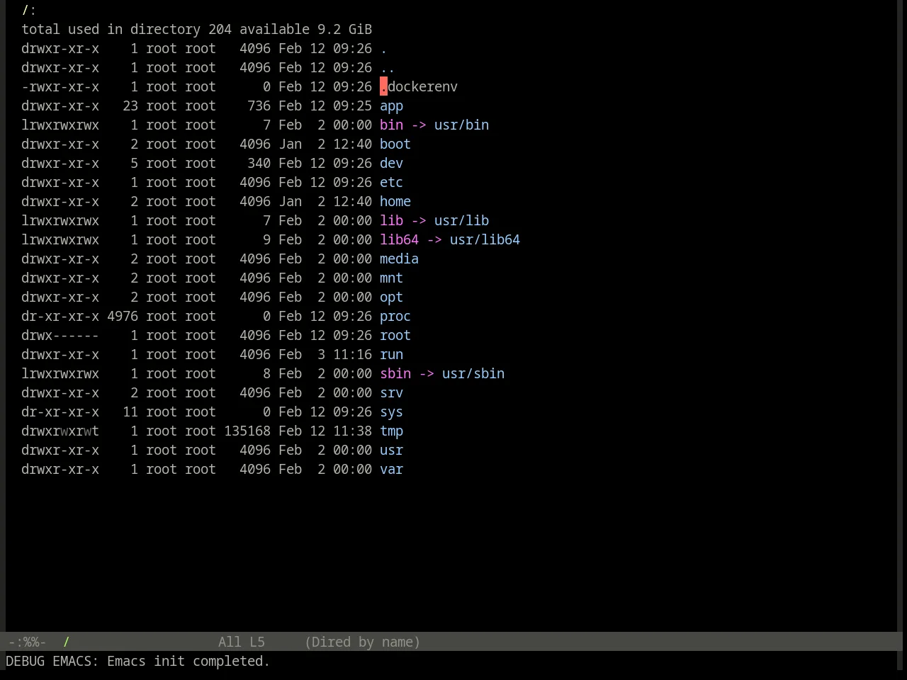 Base16 Irblack Theme in dired