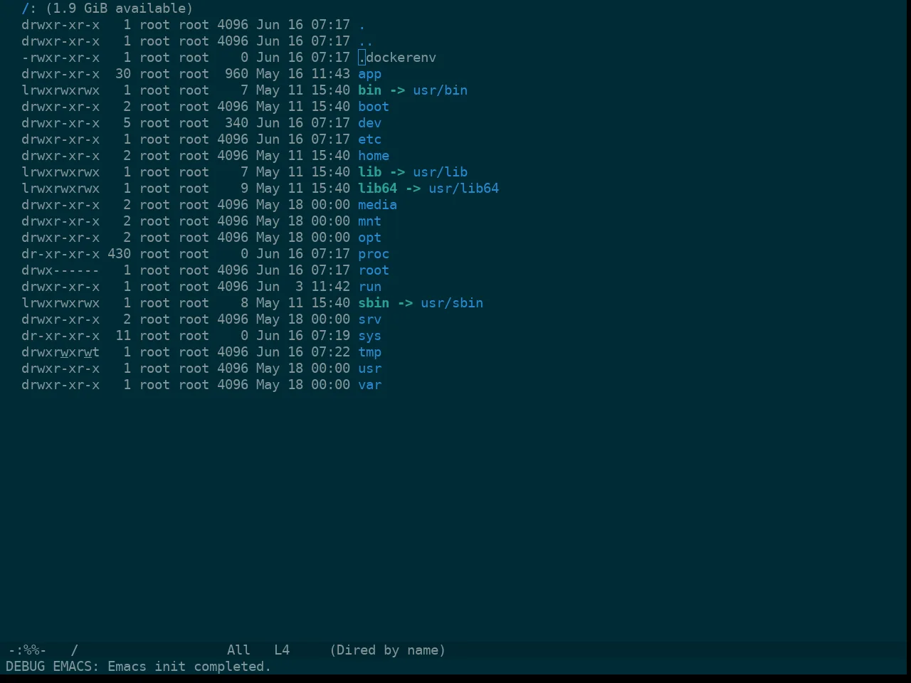 Doom Solarized Dark Theme in dired