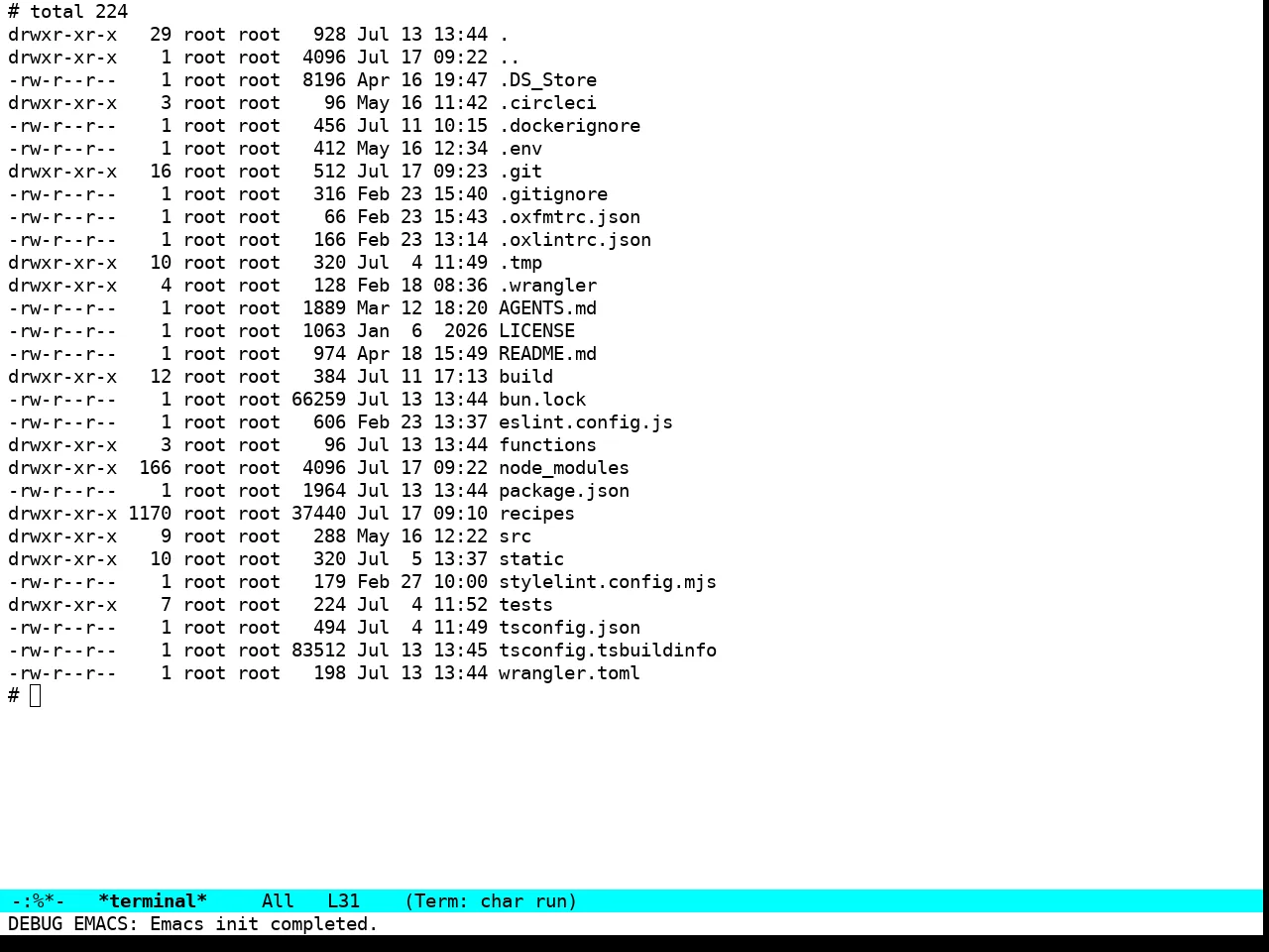 Pure Light Theme in term