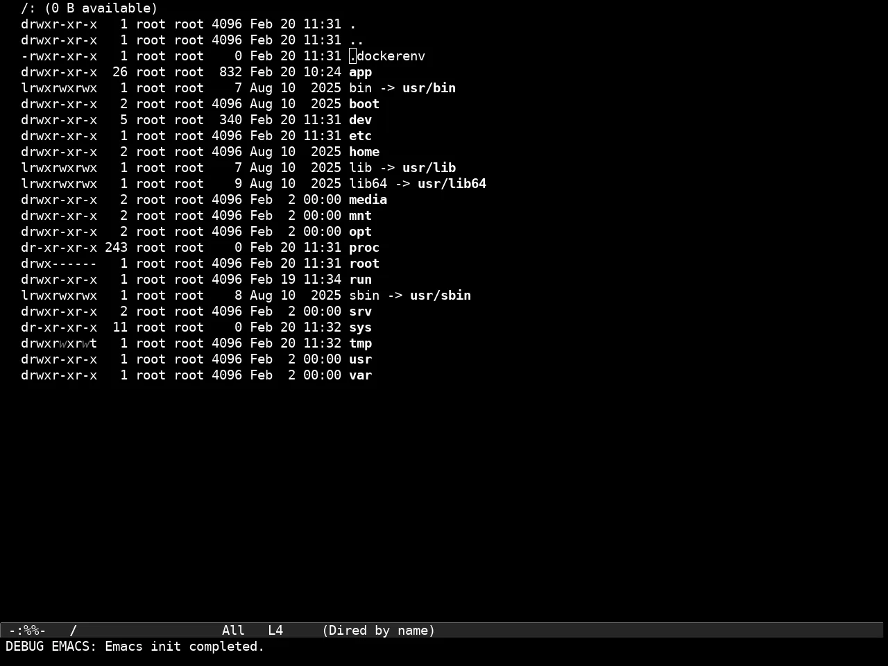 Tok Theme Dark in dired