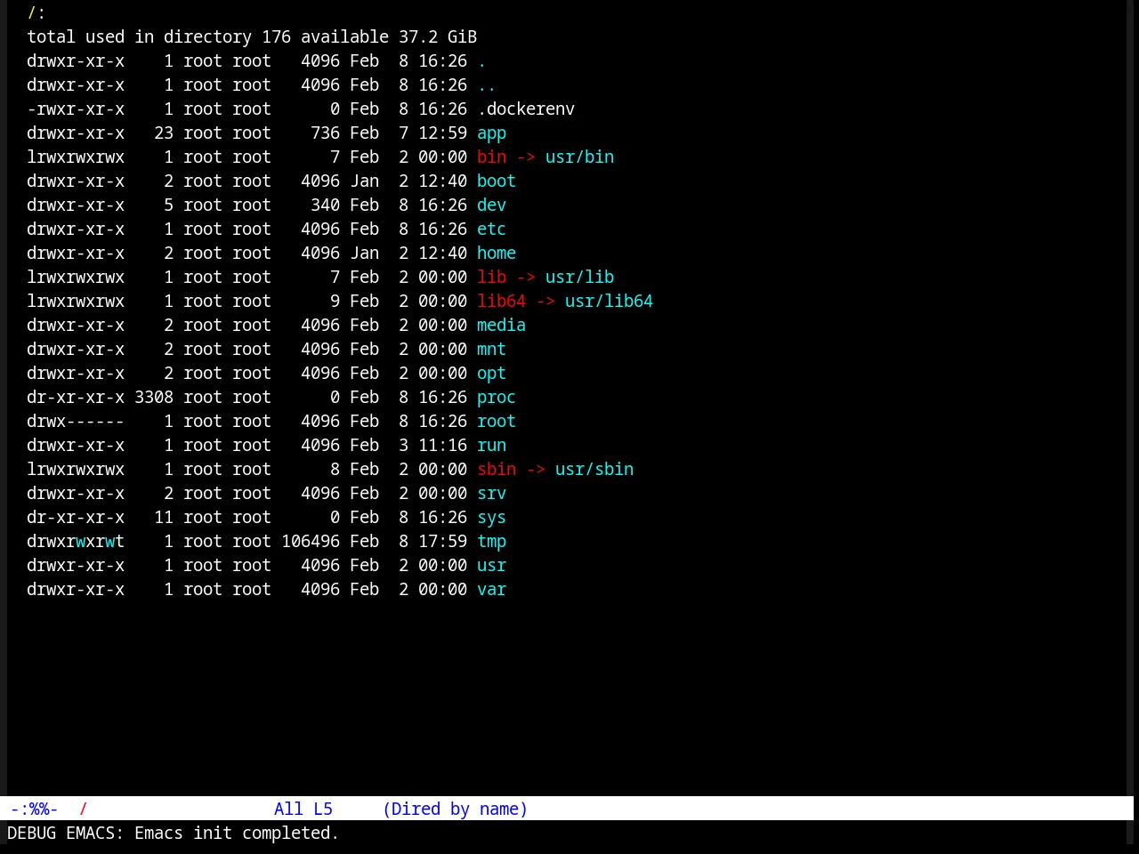 TTY Dark Theme in dired
