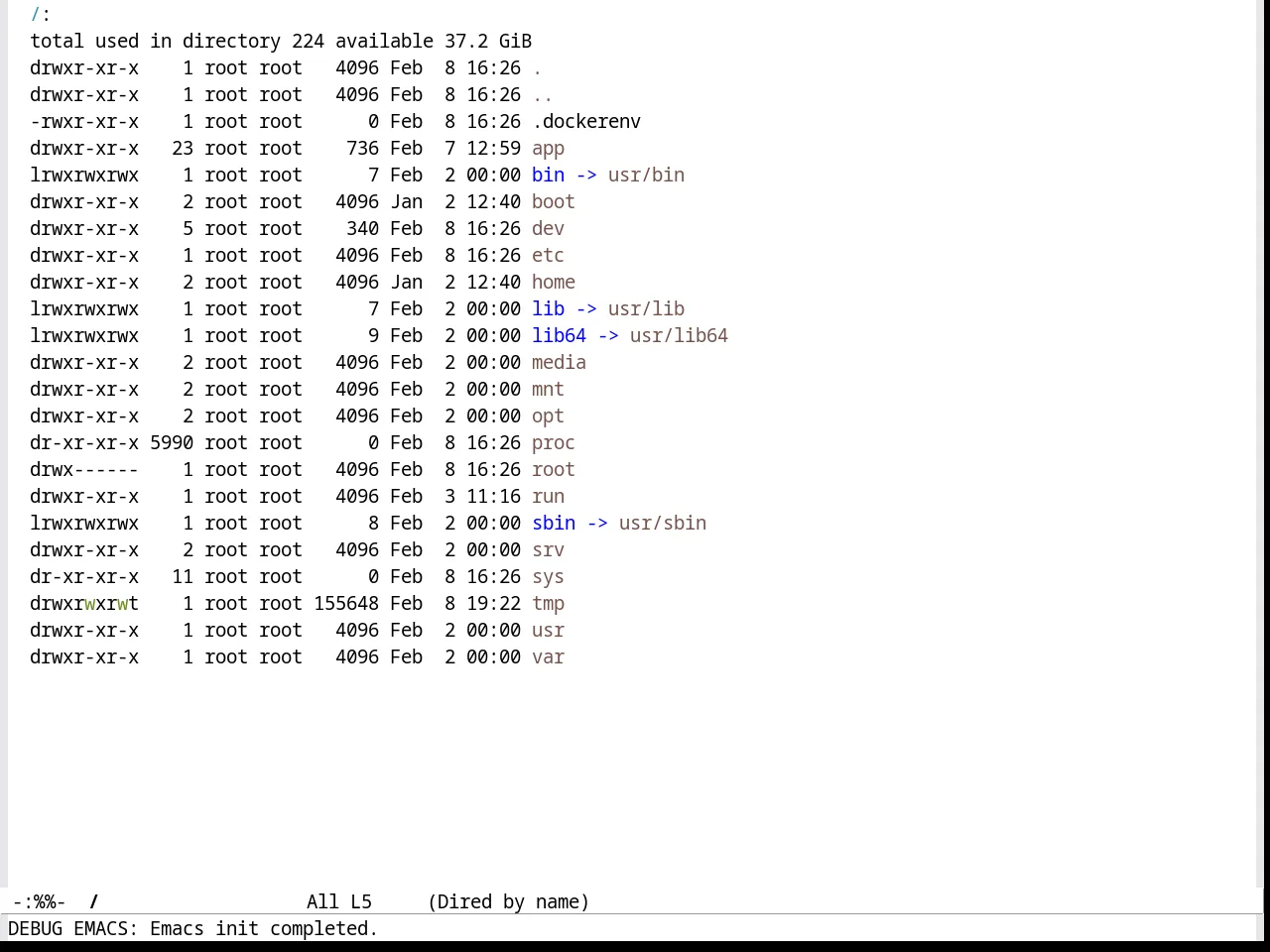 VS Light Theme in dired